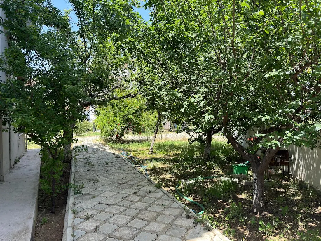 Green garden
